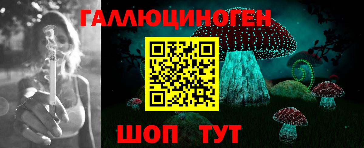 Железногорск  Галлюциногенные грибы MAGIC MUSHROOMS  Псилоцибиновые грибы GOLDEN TEACHER  Вход с VPN 